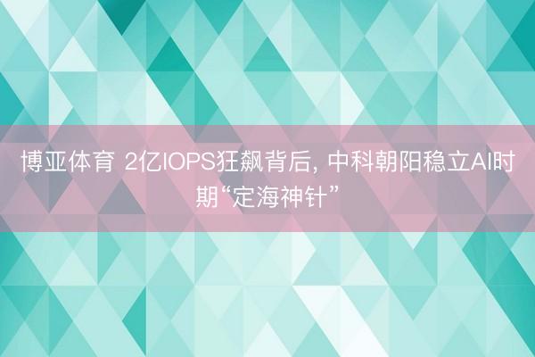 博亚体育 2亿IOPS狂飙背后， 中科朝阳稳立AI时期“定海神针”