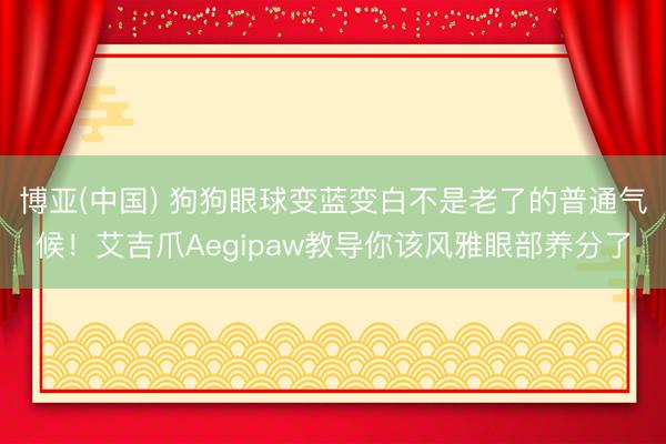 博亚(中国) 狗狗眼球变蓝变白不是老了的普通气候！艾吉爪Aegipaw教导你该风雅眼部养分了