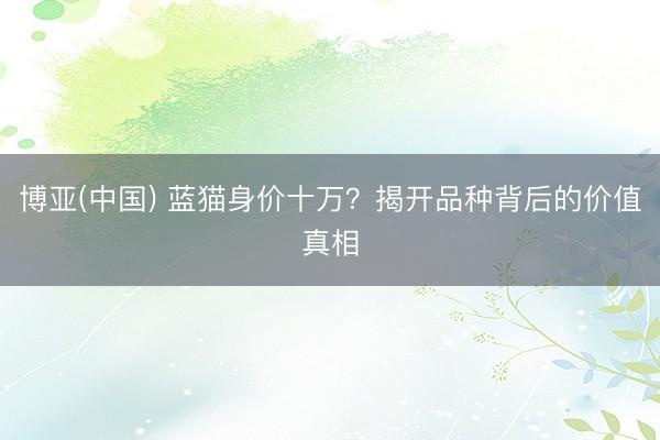 博亚(中国) 蓝猫身价十万？揭开品种背后的价值真相