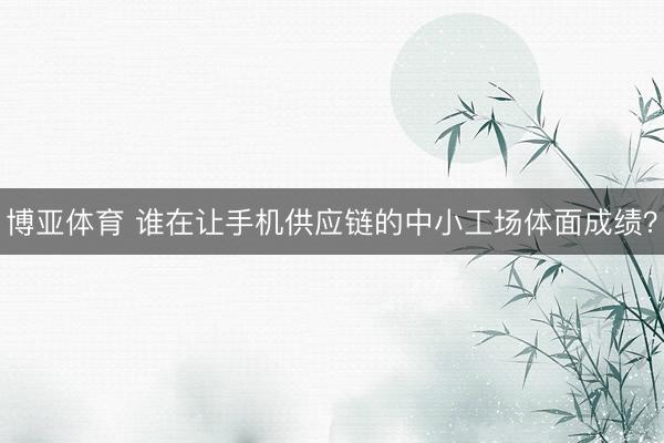 博亚体育 谁在让手机供应链的中小工场体面成绩？