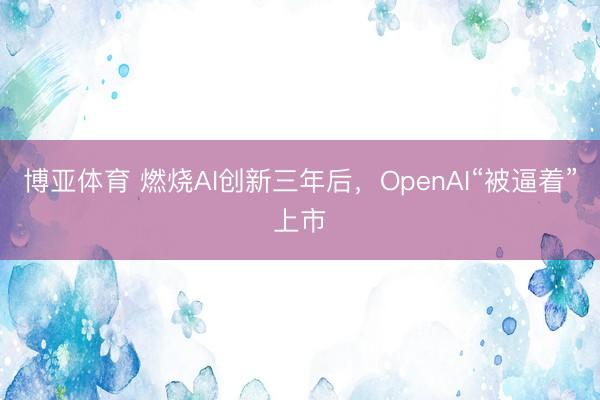 博亚体育 燃烧AI创新三年后，OpenAI“被逼着”上市