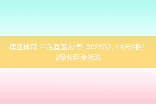 博亚体育 午后垂直涨停! 002552, 14天9板! 2股获巨资抢筹
