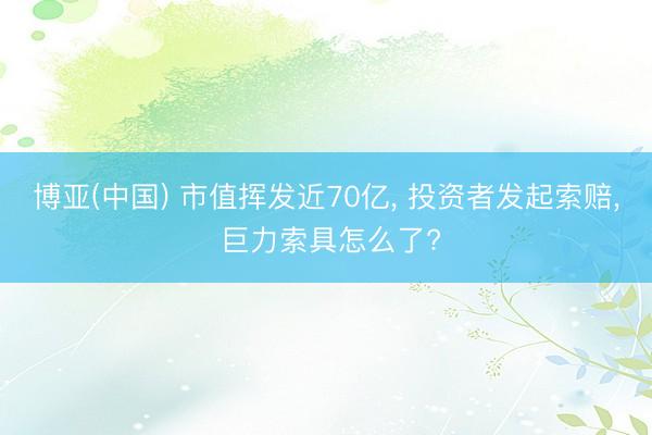 博亚(中国) 市值挥发近70亿， 投资者发起索赔， 巨力索具怎么了?