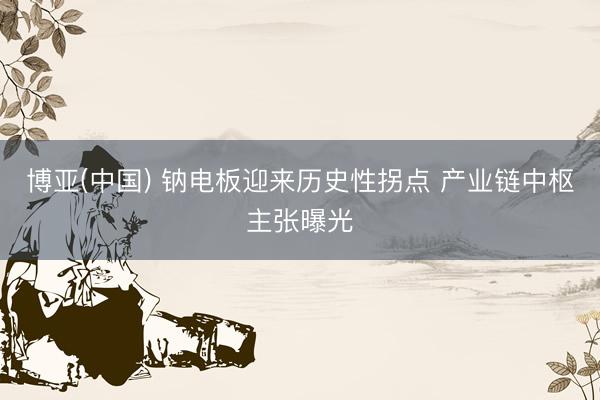 博亚(中国) 钠电板迎来历史性拐点 产业链中枢主张曝光
