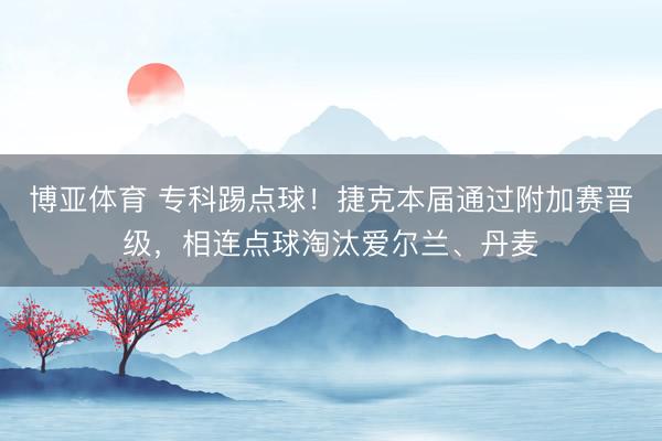 博亚体育 专科踢点球！捷克本届通过附加赛晋级，相连点球淘汰爱尔兰、丹麦
