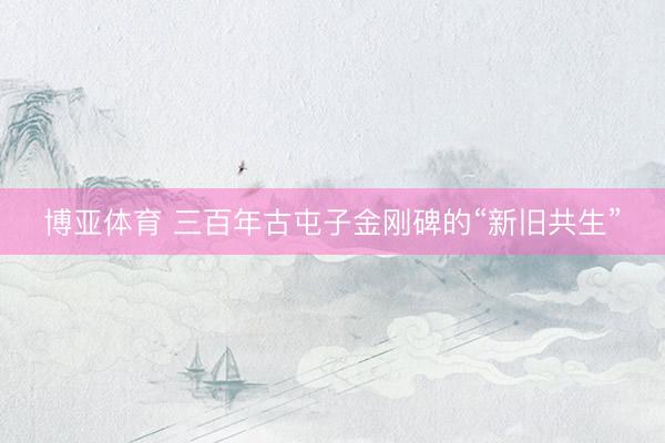 博亚体育 三百年古屯子金刚碑的“新旧共生”