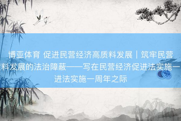 博亚体育 促进民营经济高质料发展|筑牢民营经济高质料发展的法治障蔽——写在民营经济促进法实施一周年之际