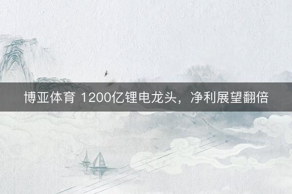 博亚体育 1200亿锂电龙头，净利展望翻倍